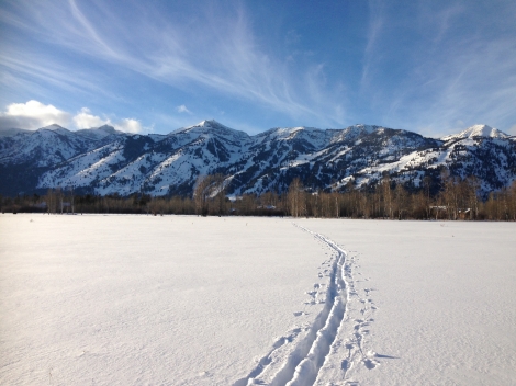 Jackson Hole 2014