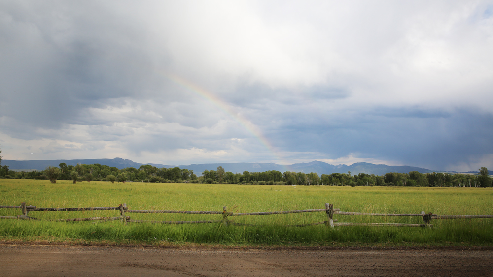 Wyoming Rainbow